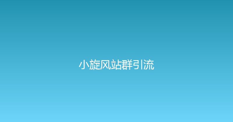 小旋风站群引流 封面图