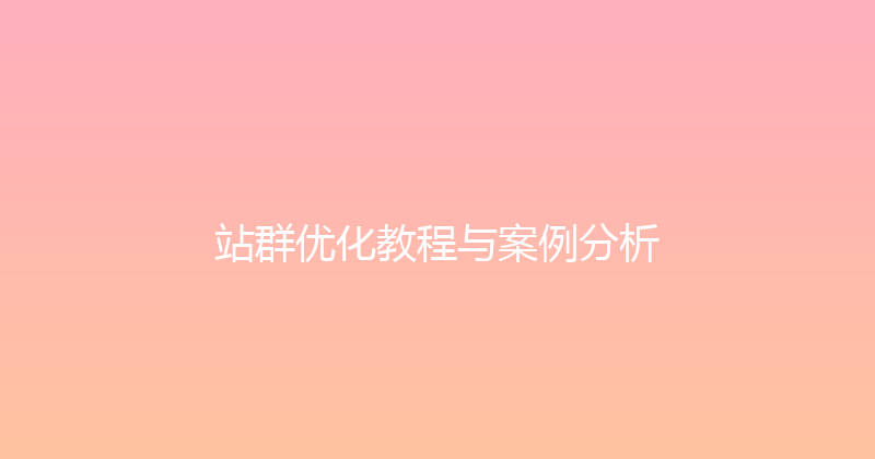 站群优化教程与案例分析 封面图