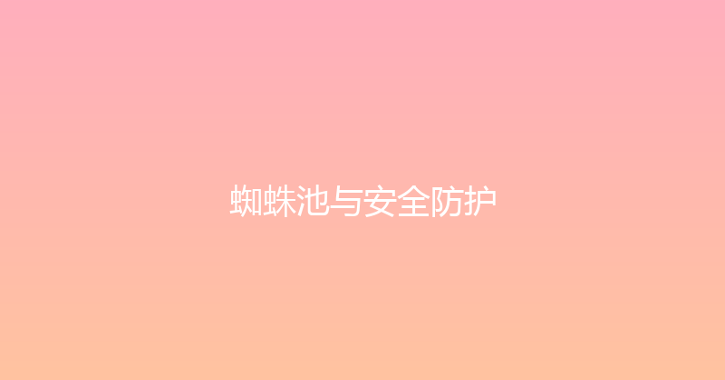 蜘蛛池与安全防护 封面图