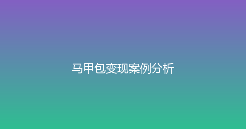 马甲包变现案例分析 封面图