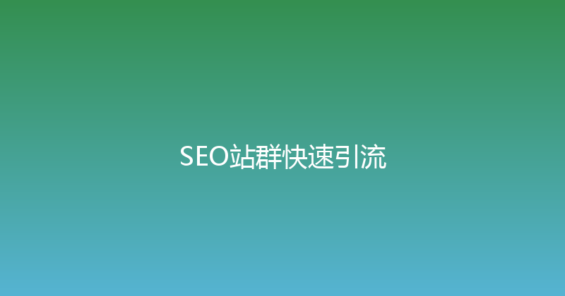SEO站群快速引流 封面图