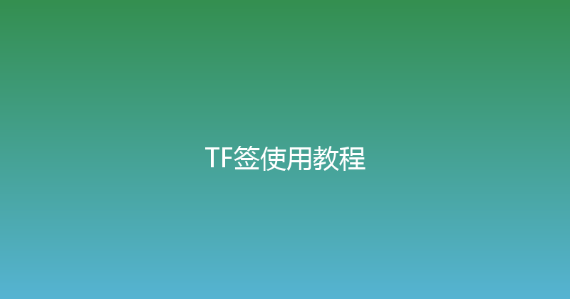 TF签使用教程 封面图